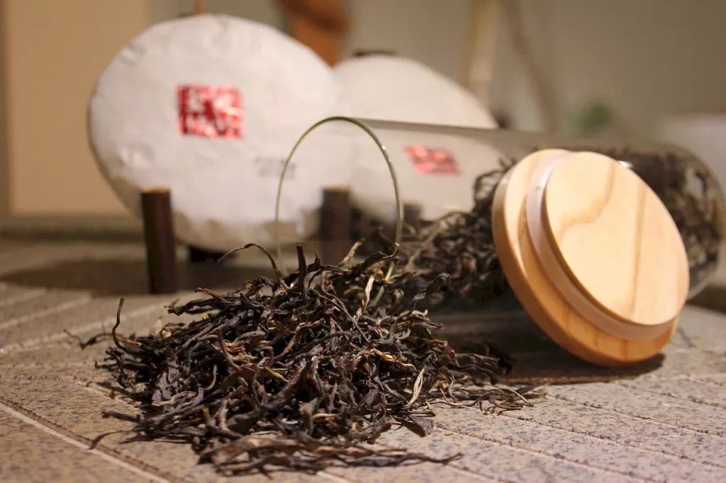 black tea and pregnancy